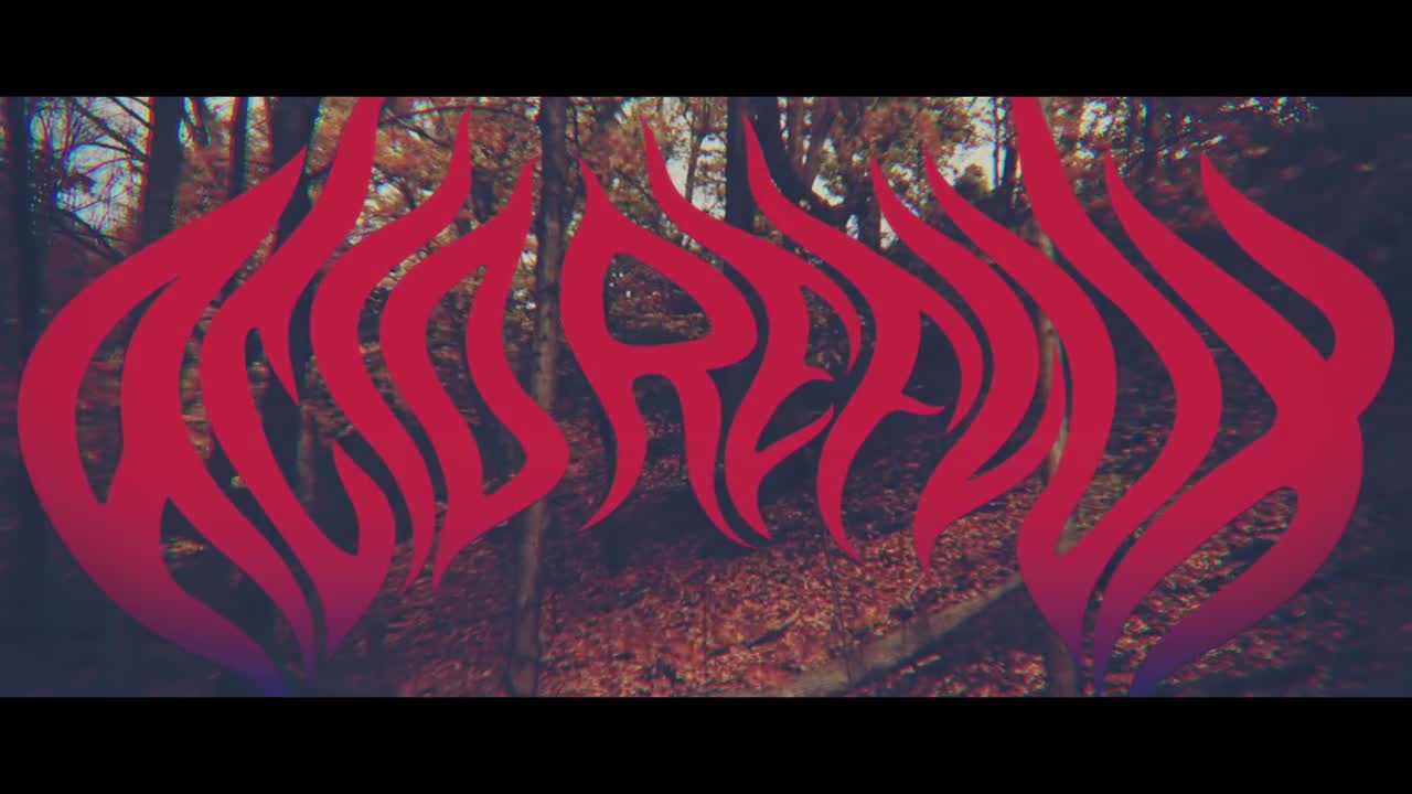 Ill Bill - Acid Reflux