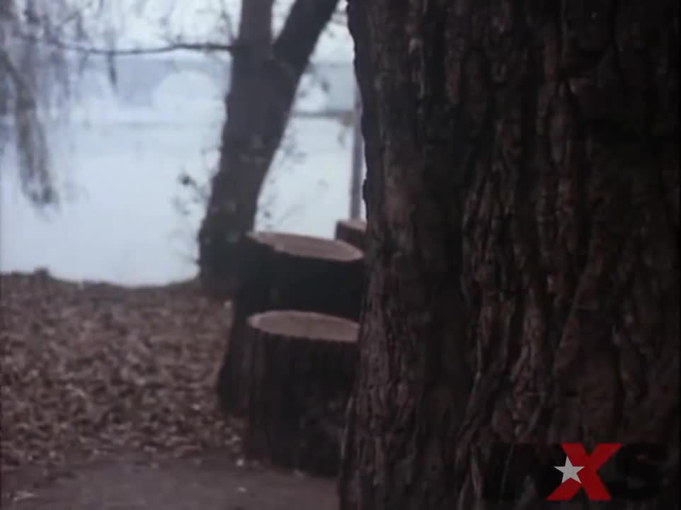INXS - Never Tear Us Apart