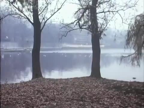 INXS - Never Tear Us Apart