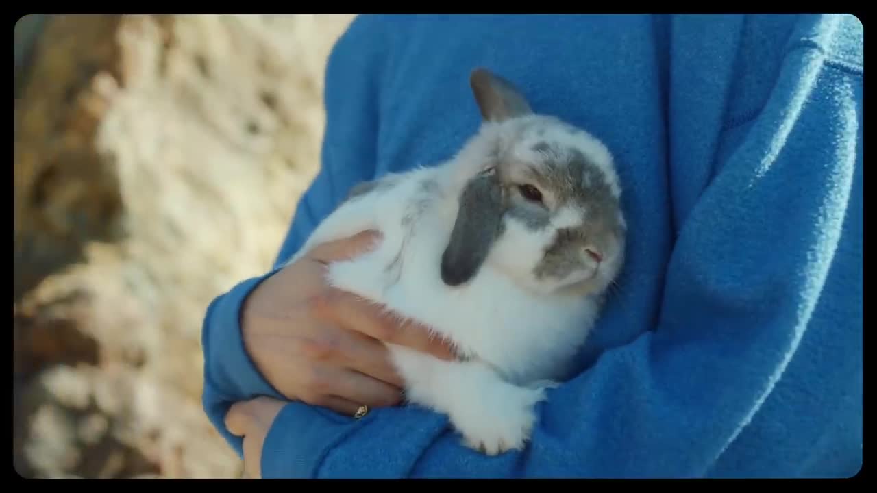 Jeremy Zucker - always, i'll care