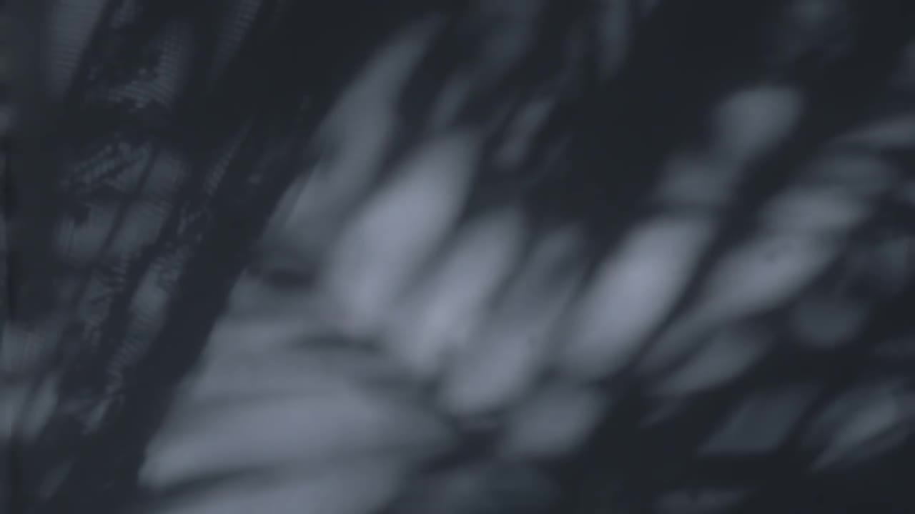 Joan Thiele - Save Me