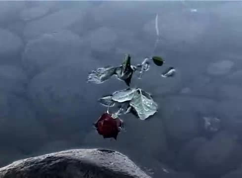 Johnny Cash - If You Could Read My Mind