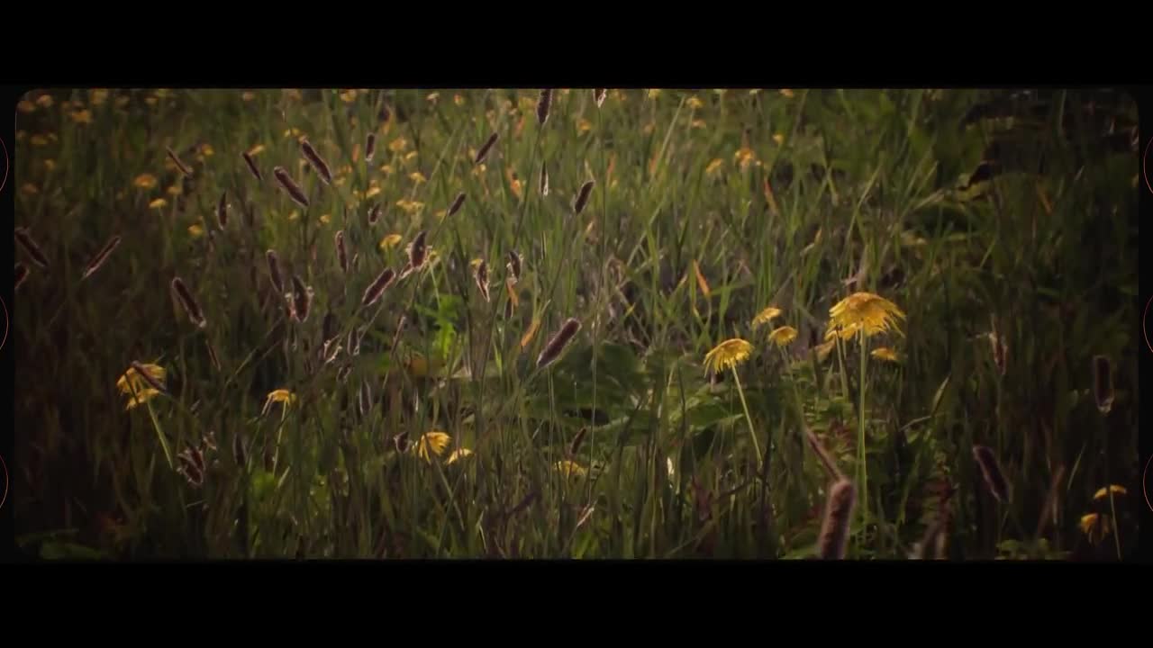 Juice WRLD - Buck 50