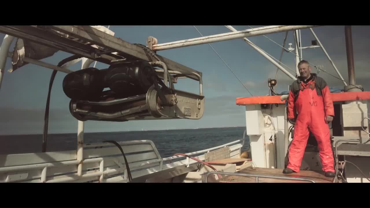 Kaleo - Vor í Vaglaskógi