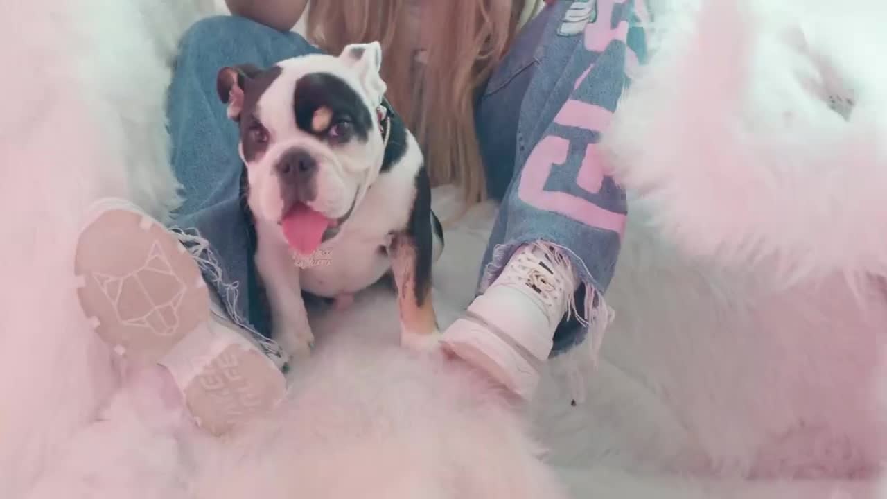 KAROL G - Ay, DiOs Mío!