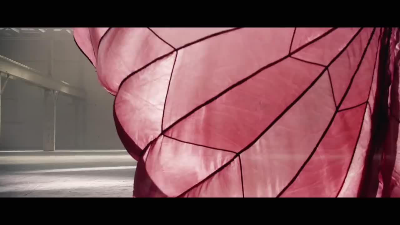 Katy Perry - Rise