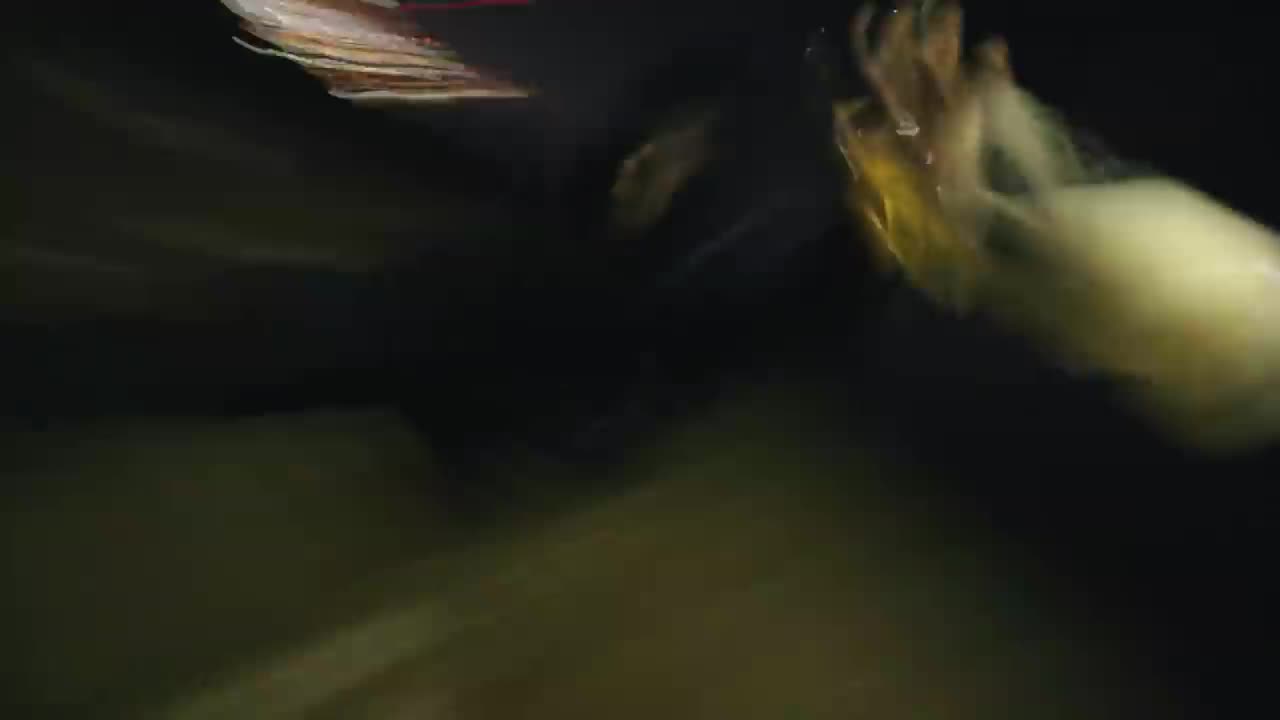 Kodak Black - Close to the Grave
