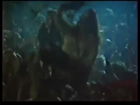 Комбинация - American Boy