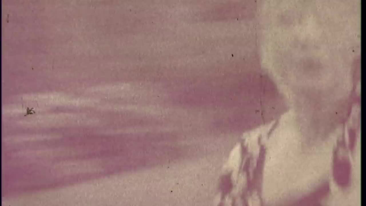 Lana Del Rey - Video Games