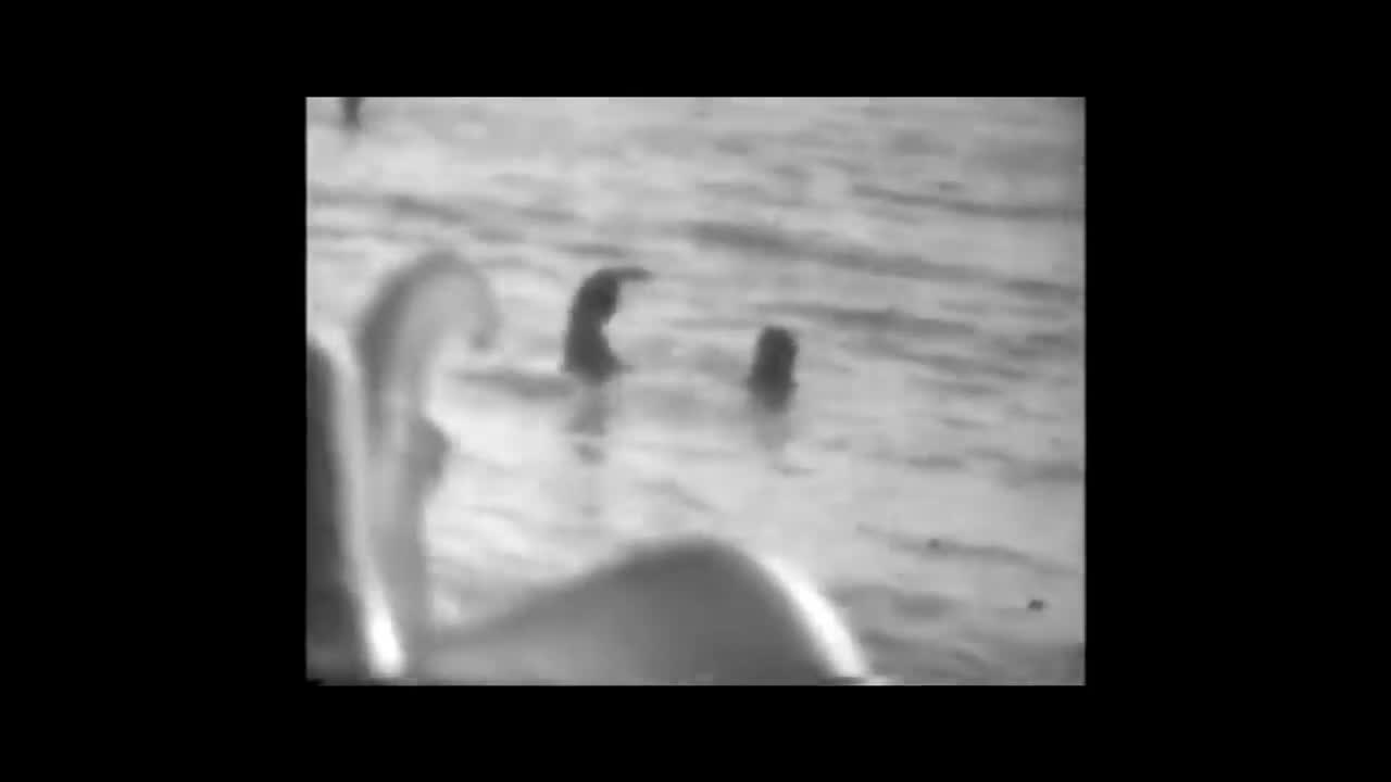Linkin Park - The Messenger