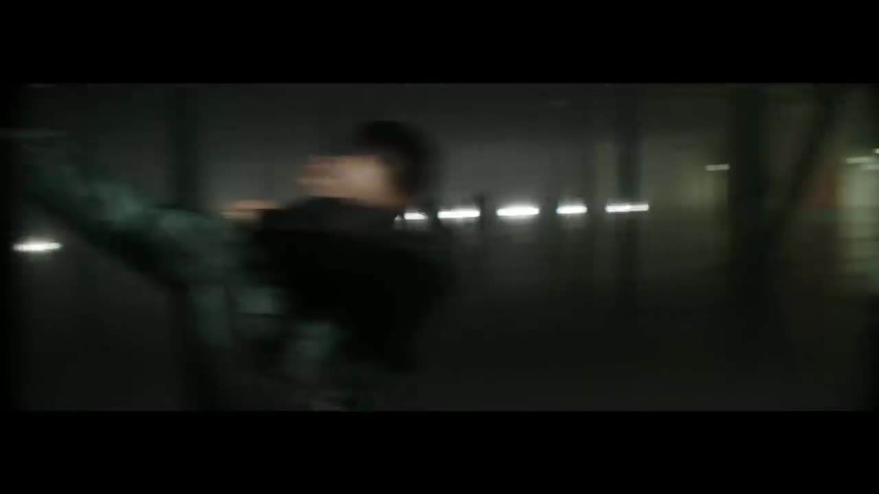 L'One - Тигр