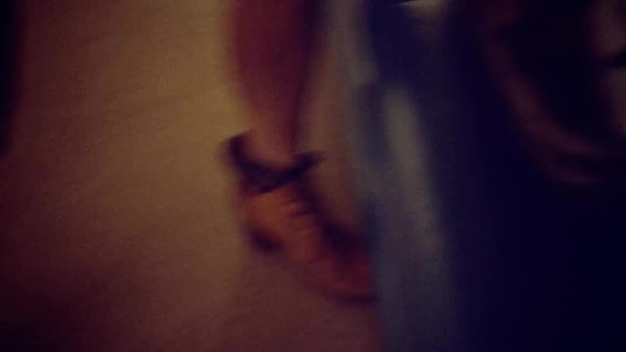 LP - Into the Wild