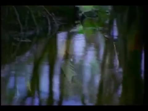 Luis Fonsi - Imagíname sin ti