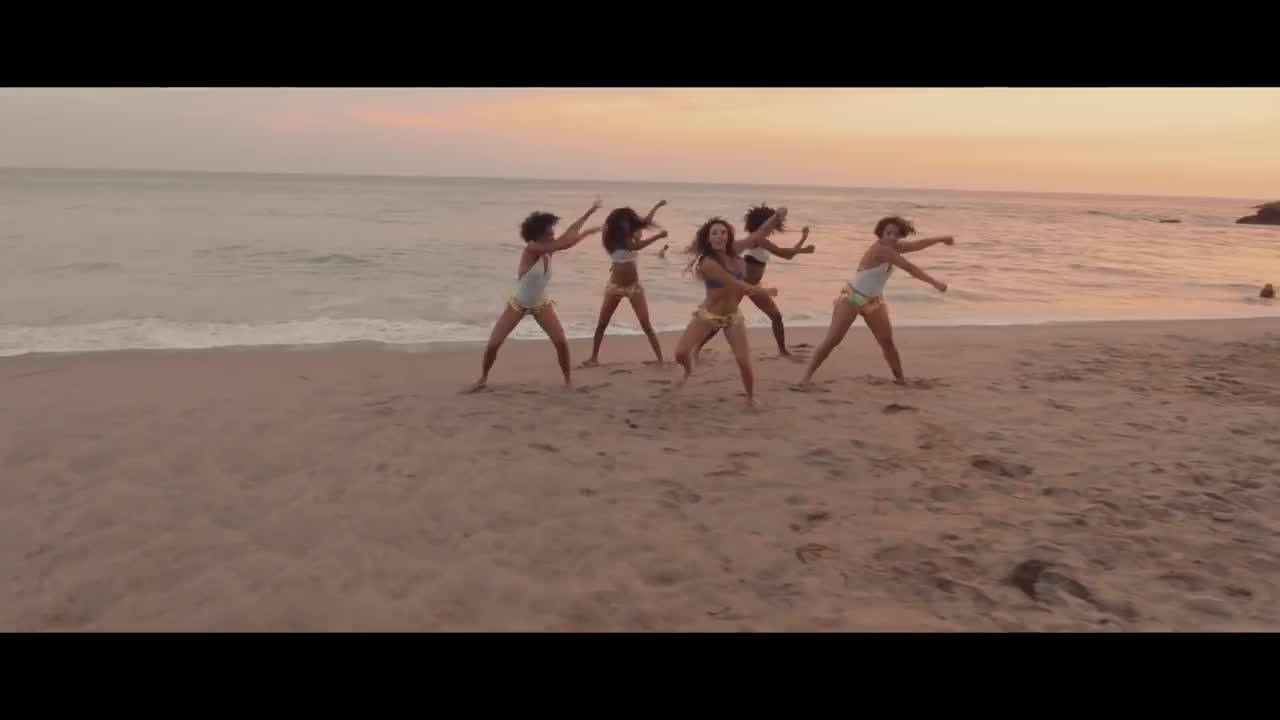 Luis Fonsi - Party Animal
