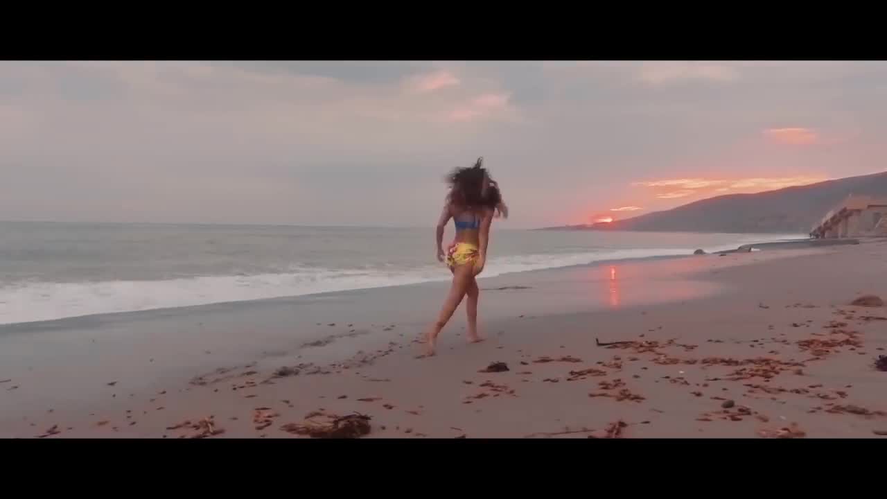 Luis Fonsi - Party Animal