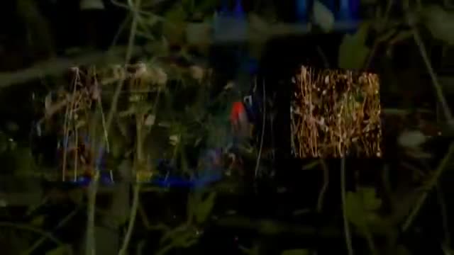 Madonna - Like It or Not