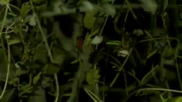Madonna - Like It or Not