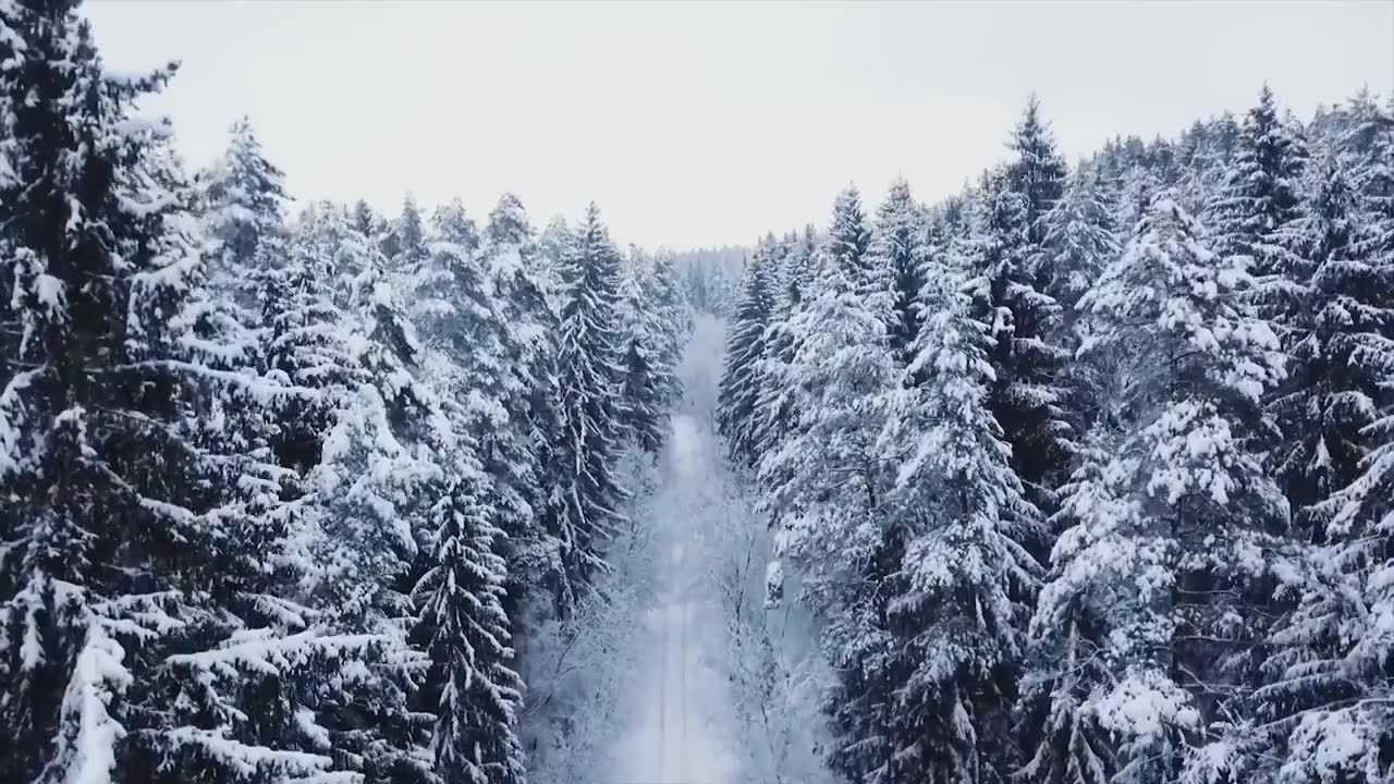 Макс Корж - 2 типа людей