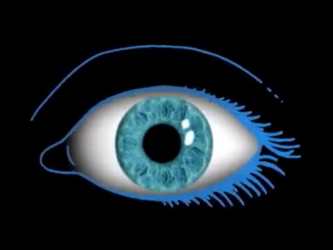 Maná - Donde jugarán los niños