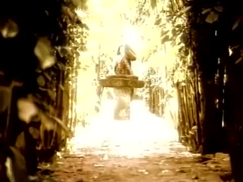 Maná - Vivir sin aire