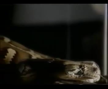 Mark Morrison - Return Of The Mack