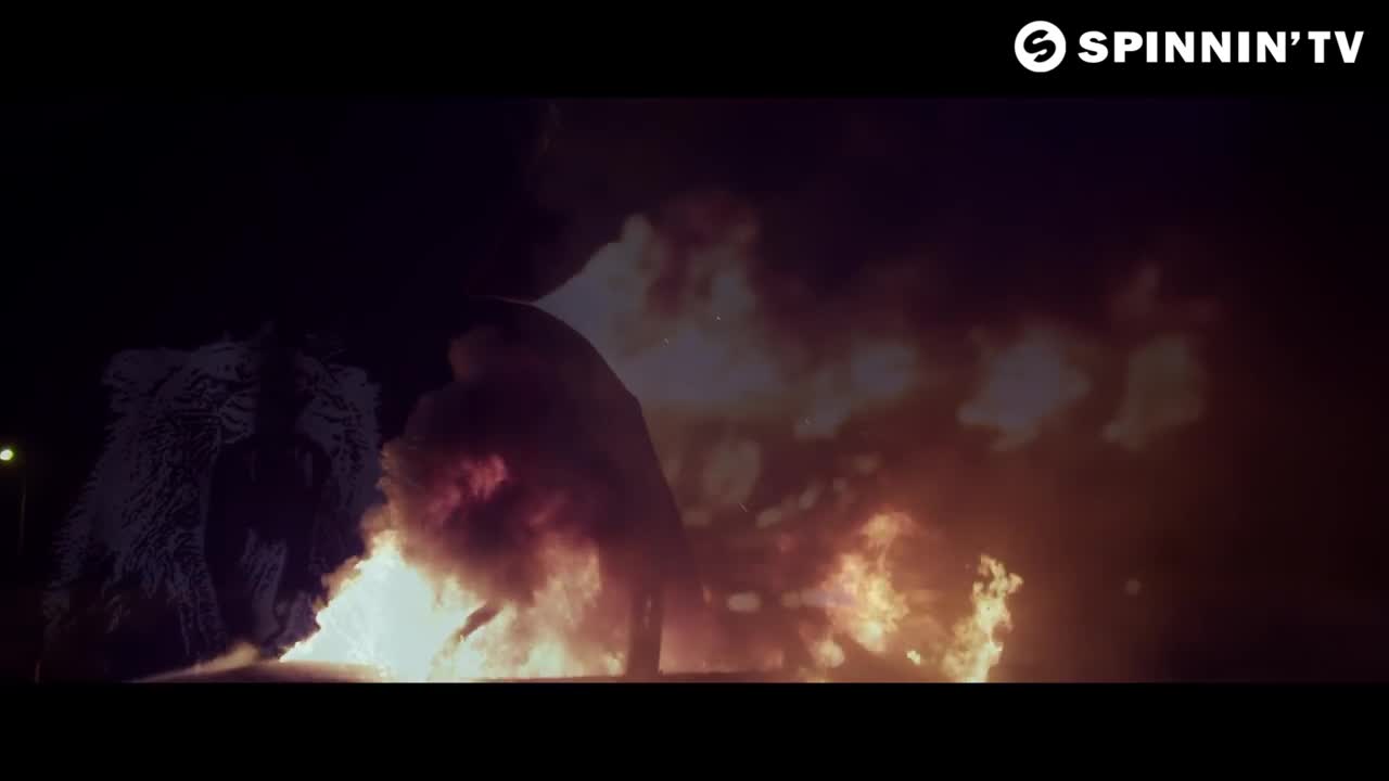 Martin Garrix - Animals