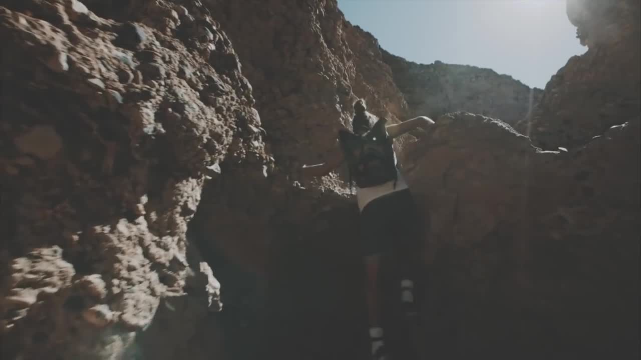 Martin Garrix - Lions in the Wild