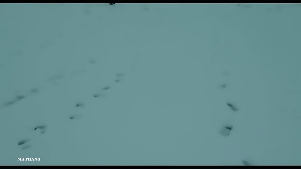 MATRANG - Отчаянно зовёт