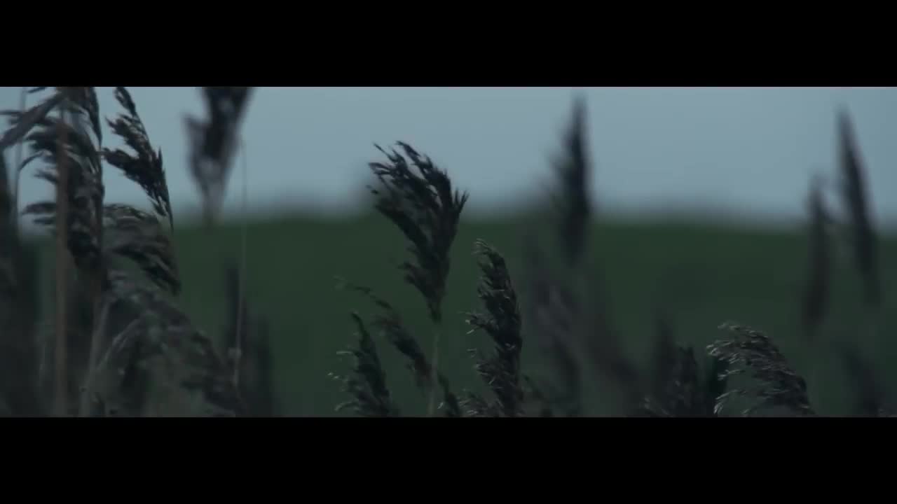 Medina - Skyttegrav