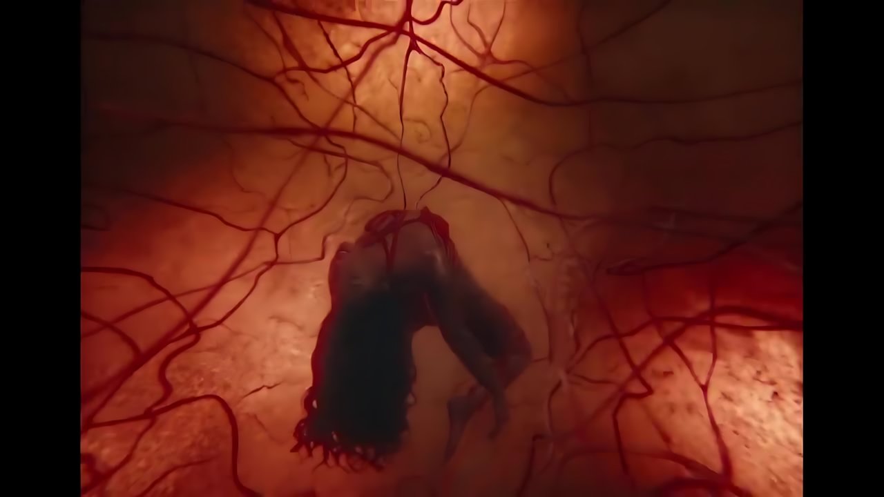 Megan Thee Stallion - HISS