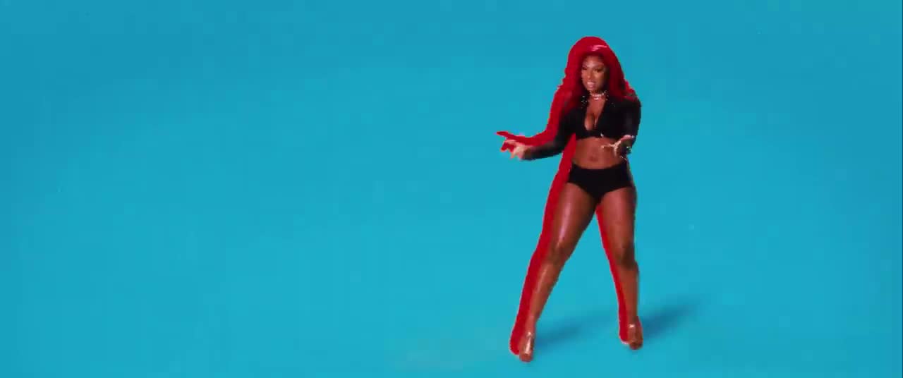 Megan Thee Stallion - Realer