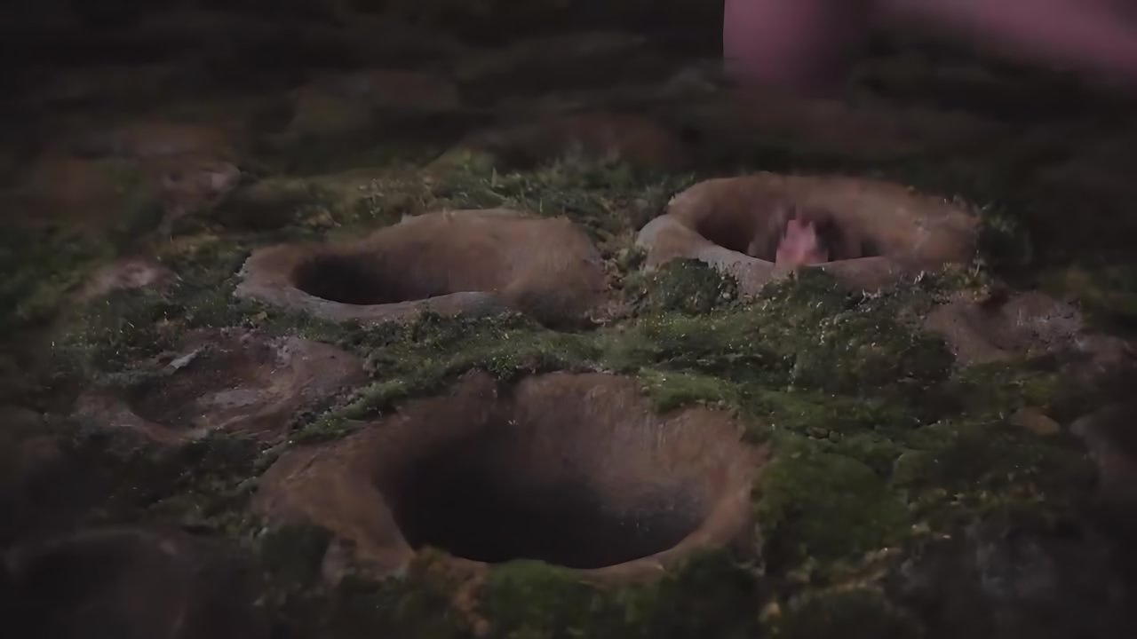 Melanie Martinez - TUNNEL VISION