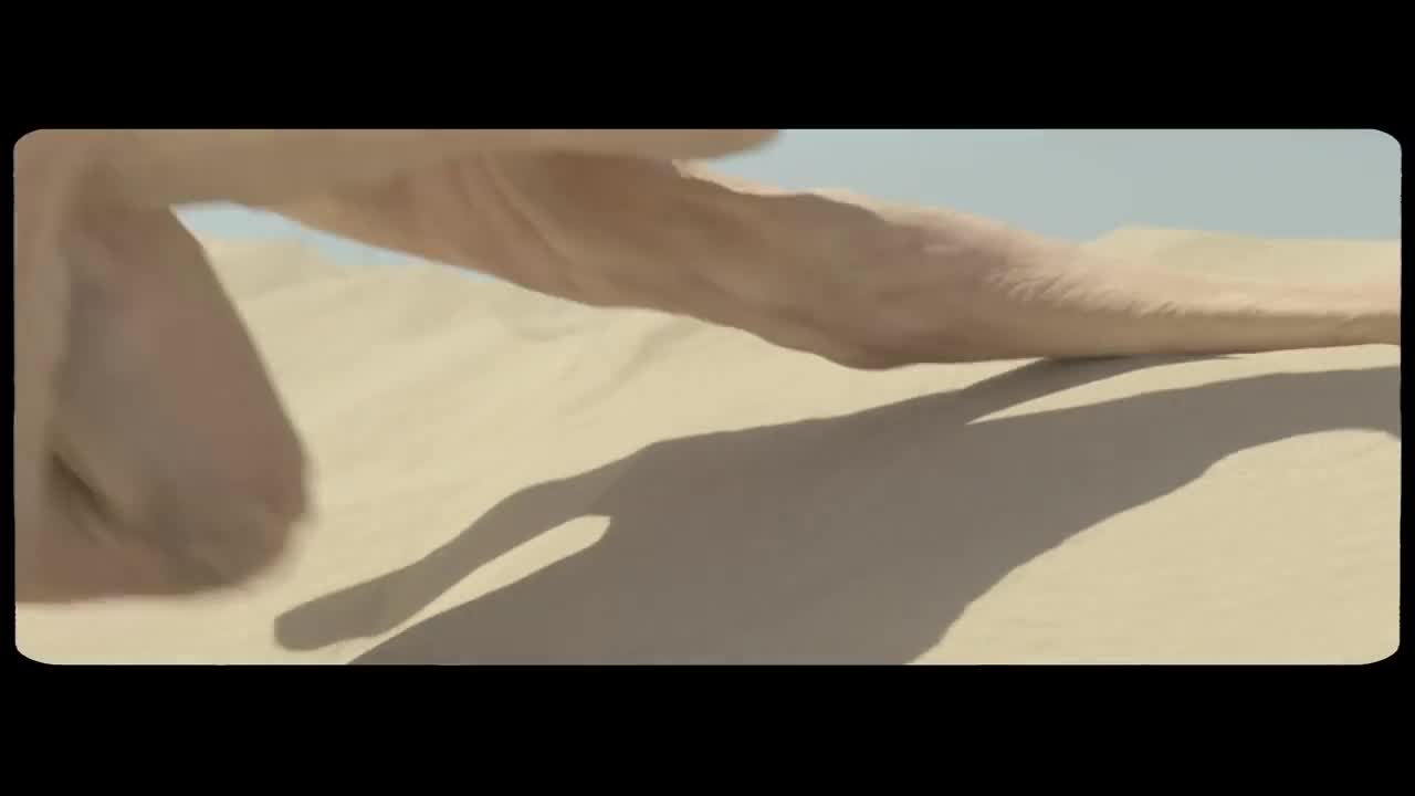 MGMT - Congratulations