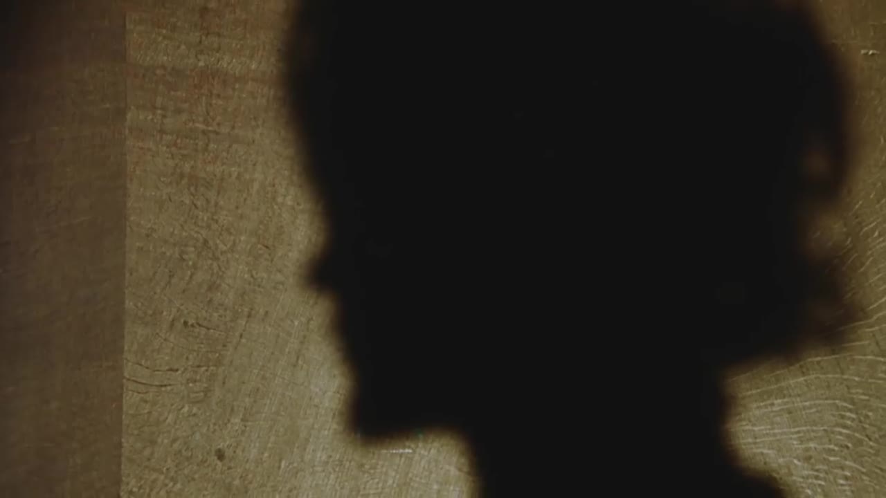 MGMT - Little Dark Age