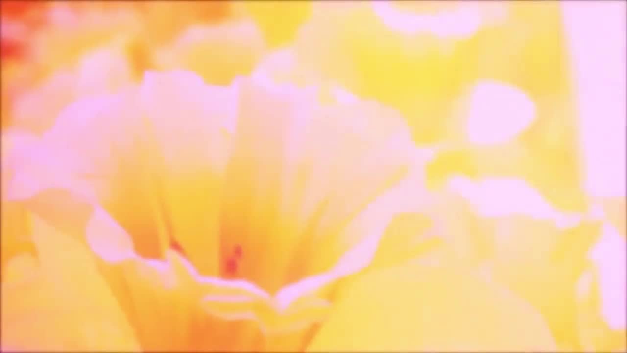 Miley Cyrus - Mother’s Daughter