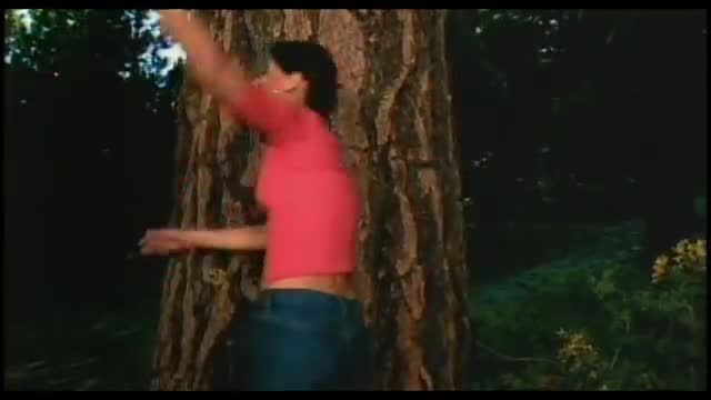 Nelly Furtado - I’m Like a Bird