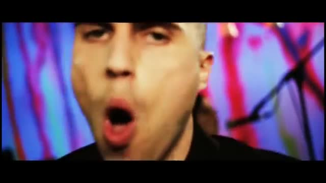 Neon Trees - Animal