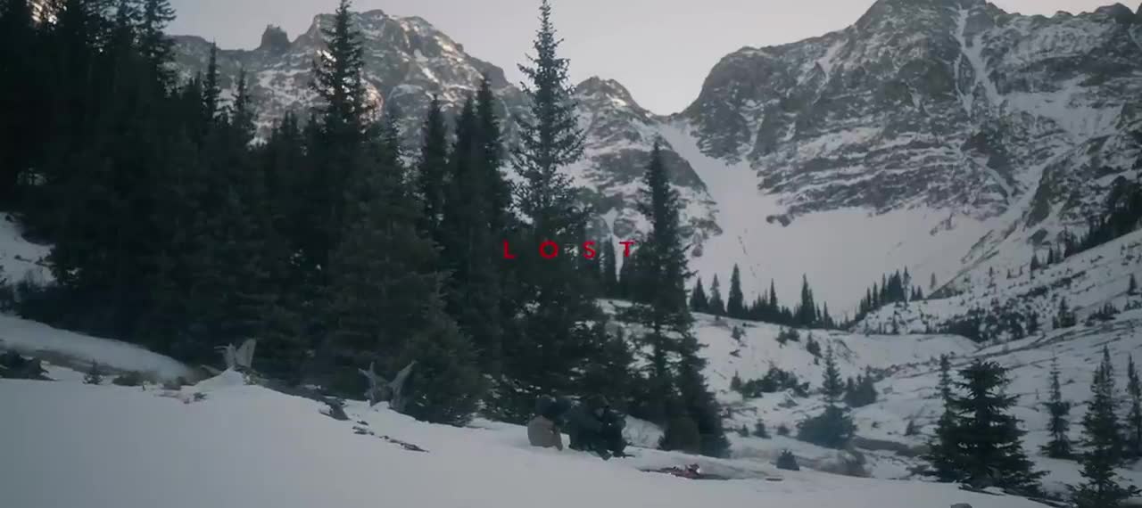 NF - LOST