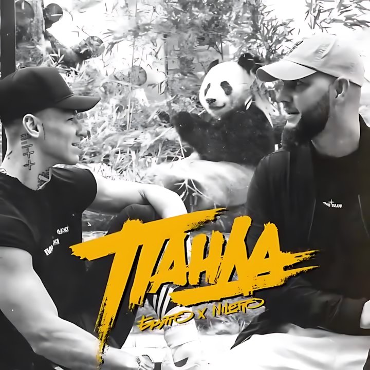 NILETTO - Панда