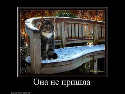 Noize MC - Ты не считаешь