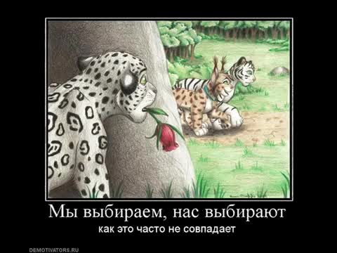Noize MC - Ты не считаешь