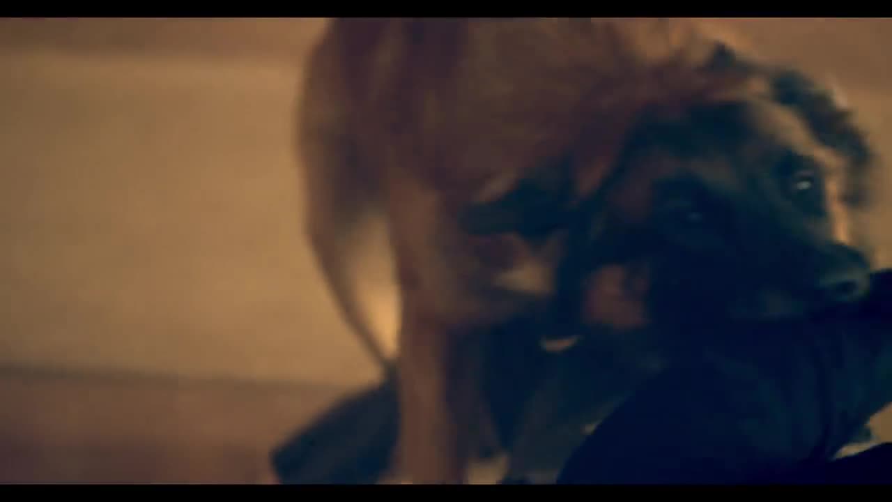 OneRepublic - Something I Need