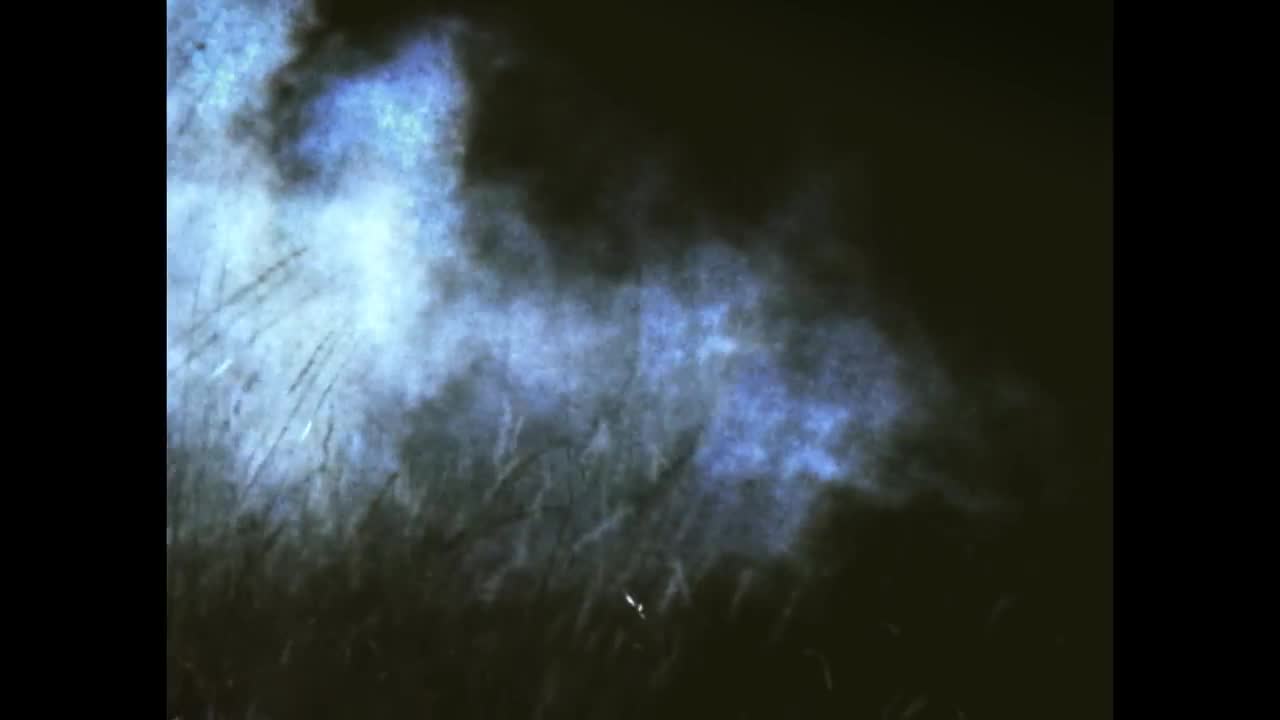 Owl City - Lucid Dream
