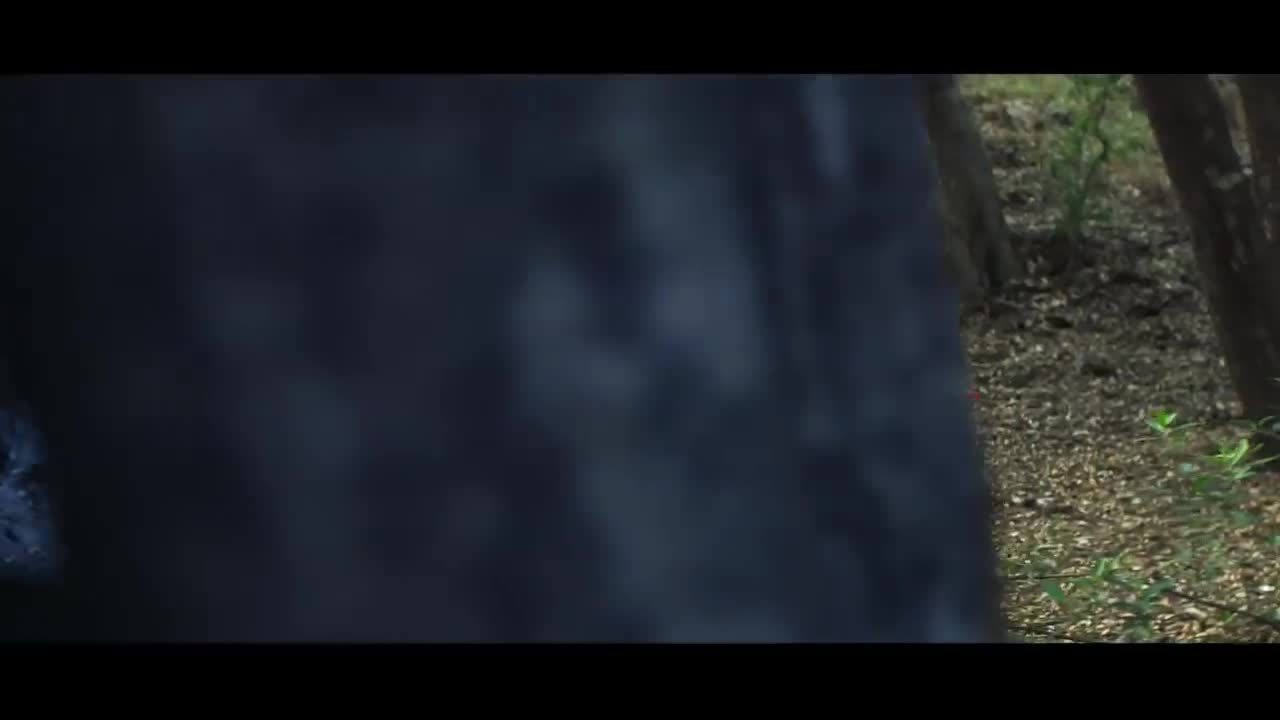 Owl City - My Everything