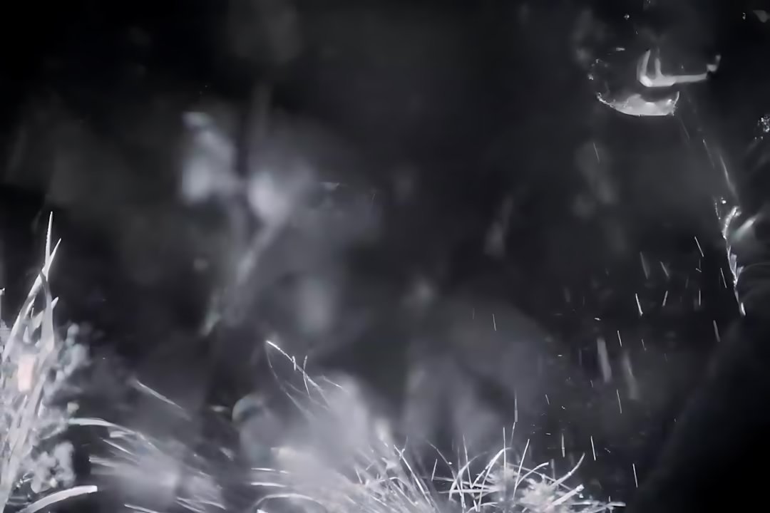 Ozuna - Quien Va a Frontiar