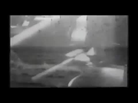 Palaye Royale - Primary Propaganda