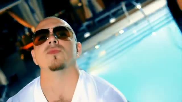 Pitbull - Blanco