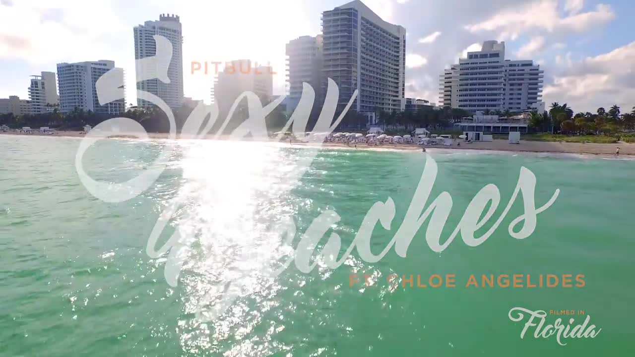 Pitbull - Sexy Beaches