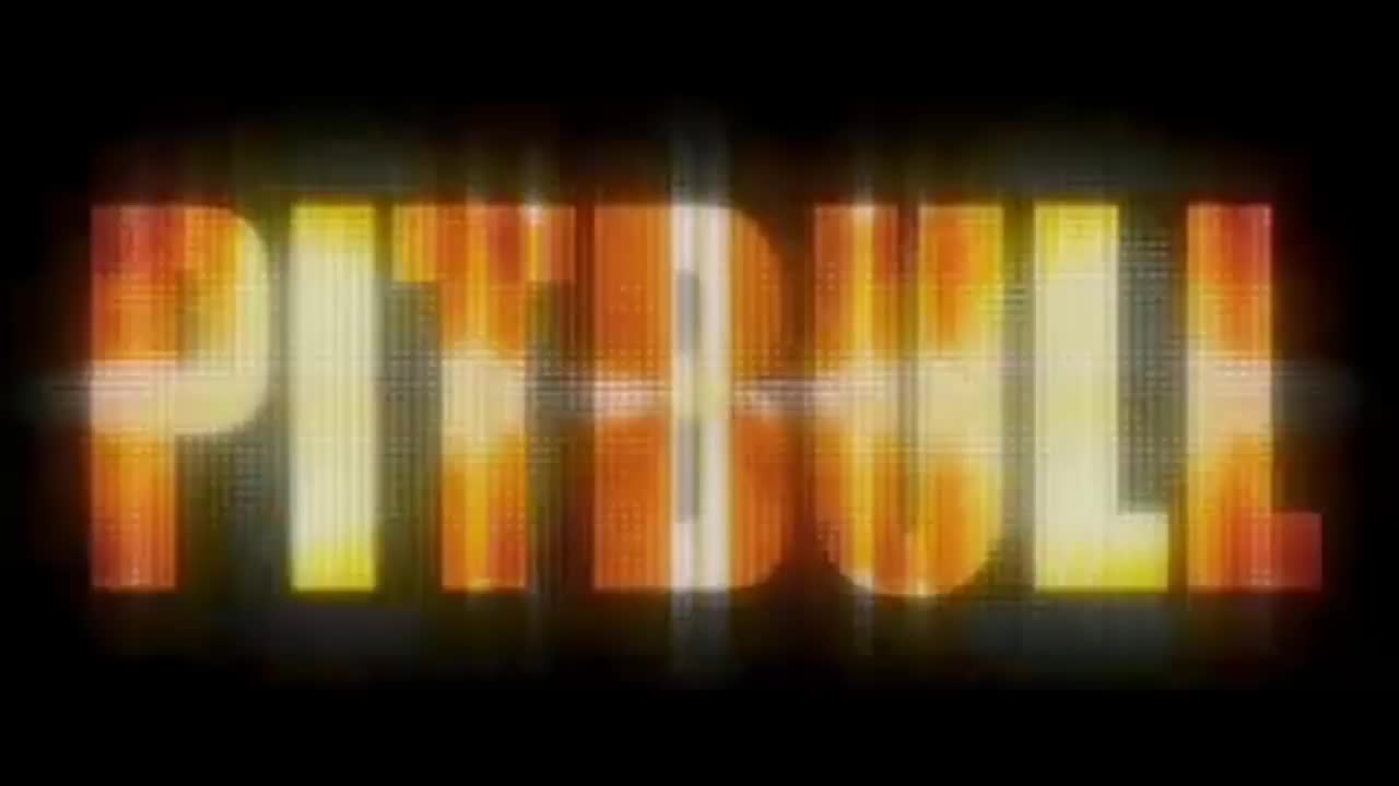 Pitbull - Vida 23