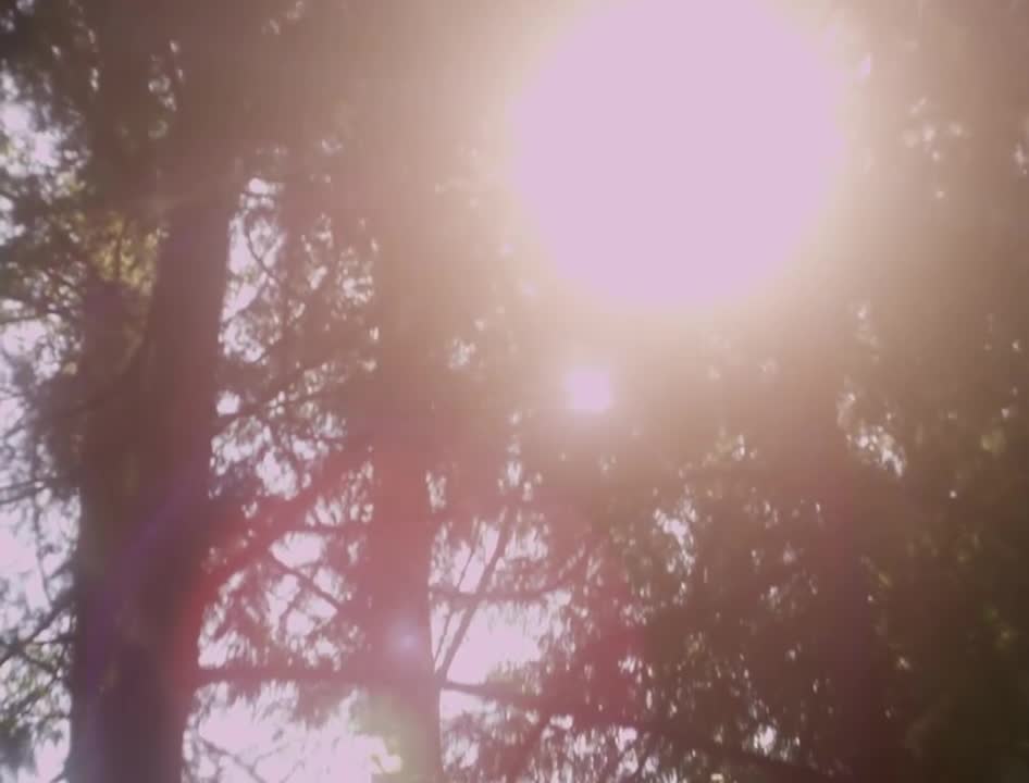 Powfu - death bed